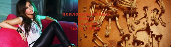 apvp Переславль-Залесский