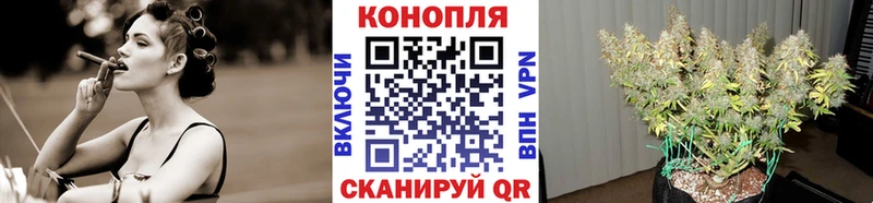 Канабис семена Грозный