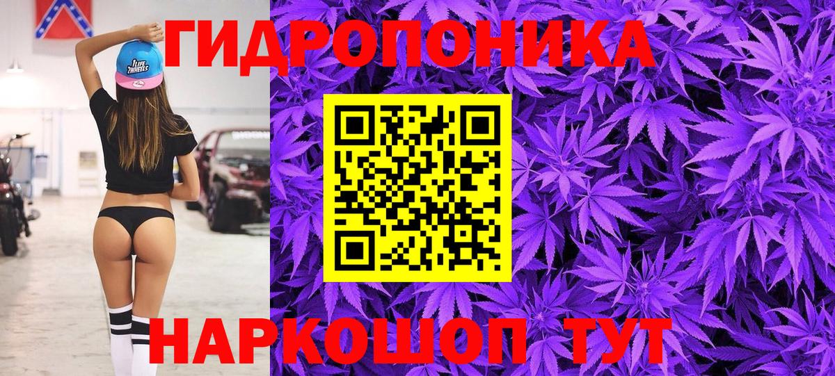 Конопля план  Грозный  Бошки марихуана Amnesia 